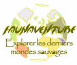 Explorer les derniers mondes sauvages