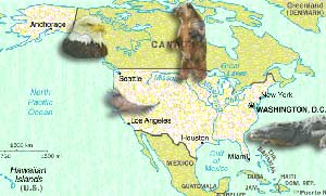 Carte USA